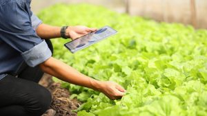 FoodTech-AgroTech